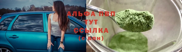 a pvp Абаза