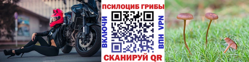 Галлюциногенные грибы Psilocybine cubensis  как найти закладки  Полтавская 